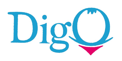 迪高（DIGO）