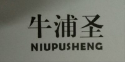 牛浦圣（NIUPUSHENG）