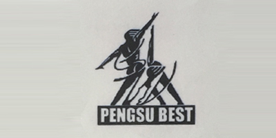 PENGSU BEST