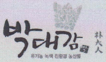 樸大人