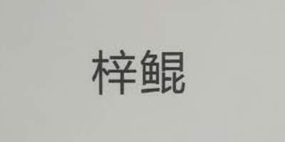 梓鯤