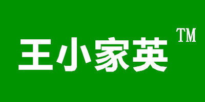 王小家英