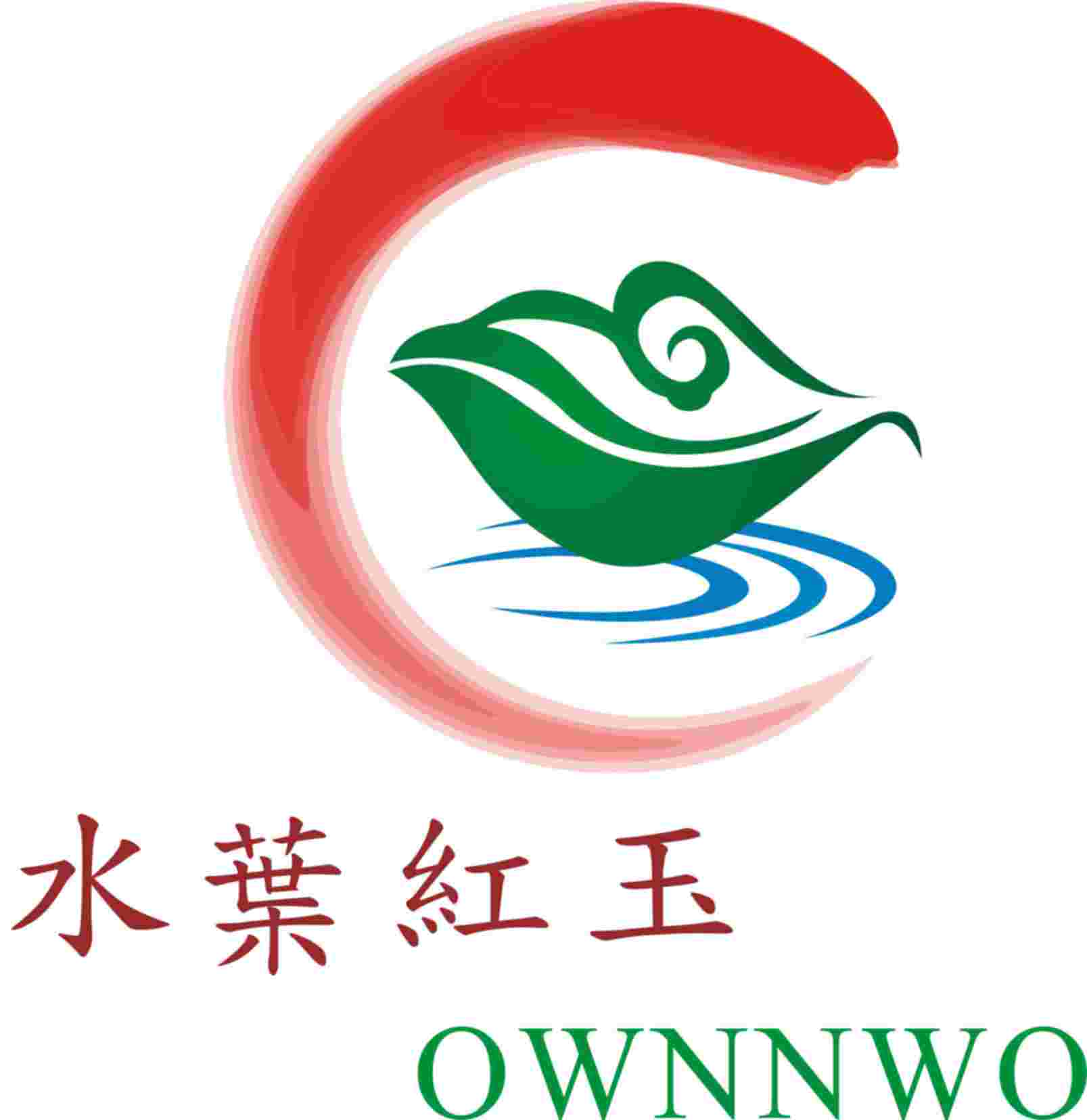 水葉