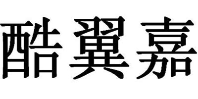 酷翼嘉