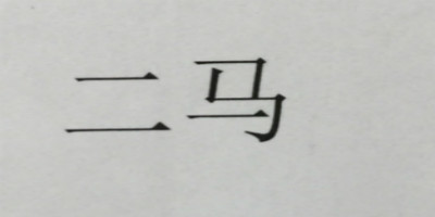 二馬