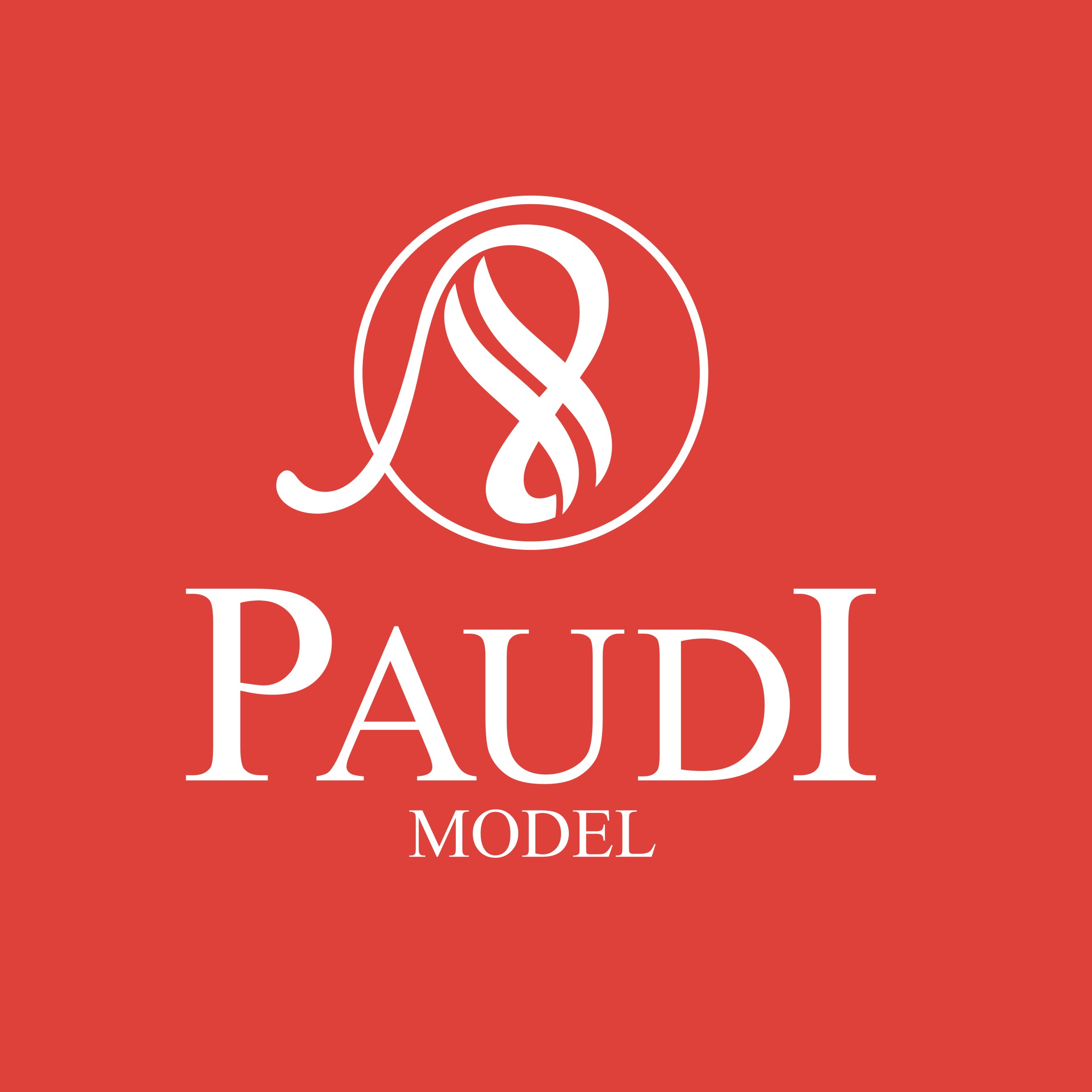 PAUDIMODEL