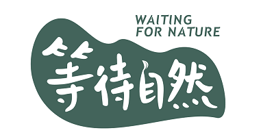等待自然（dengdaiziran）