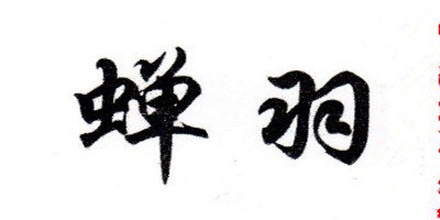 蟬羽