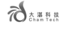 大湛
