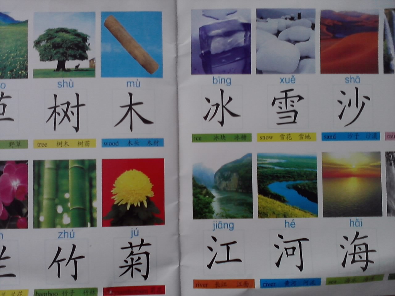 寶寶蛋系列：幼兒?jiǎn)⒚蓪W(xué)前200字 曬單實(shí)拍圖