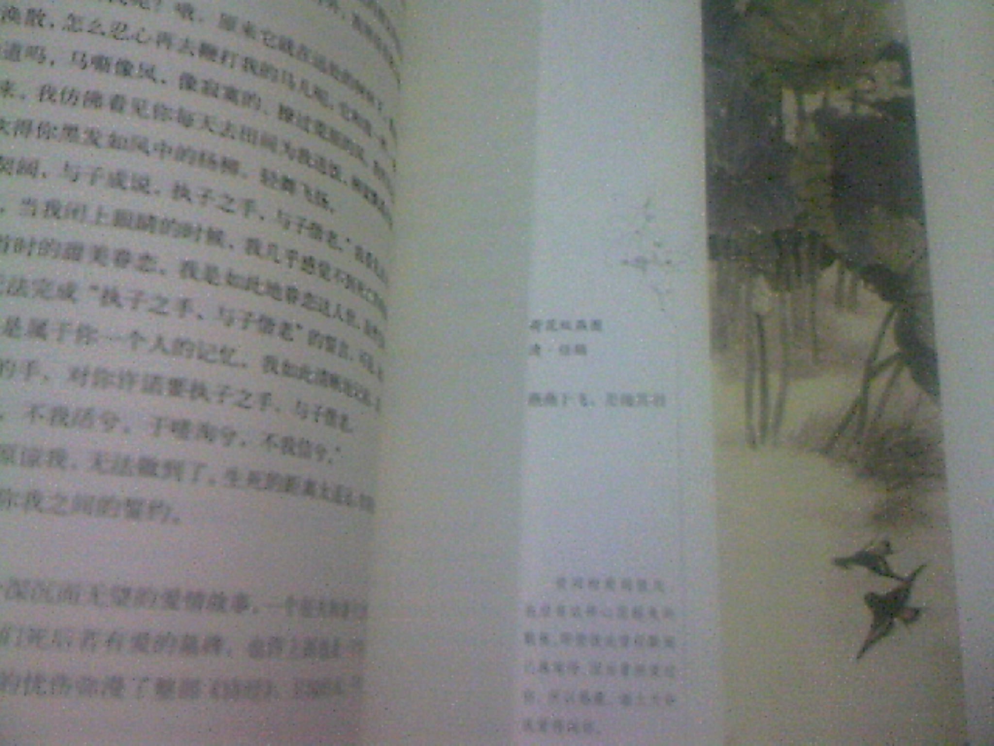 思無(wú)邪：詩(shī)三百（安意如最新作品） 曬單實(shí)拍圖