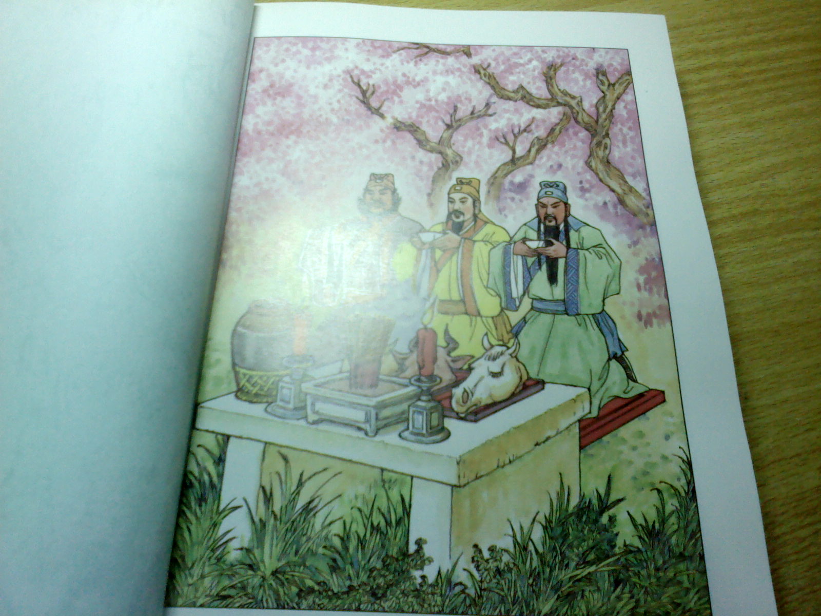 中國古典文學(xué)普及讀本：三國演義（上下） 小說(shuō) 曬單實(shí)拍圖