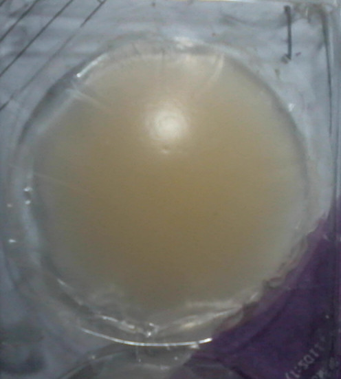 le洛黛尔美肤性感无痕防凸点防走光婚纱<em>硅胶</em>隐