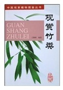 觀賞竹類 曬單實拍圖