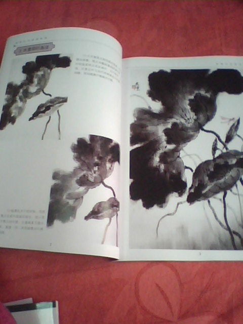 金牌美術(shù)基礎教材系列：寫(xiě)意荷花繪畫(huà)教程 曬單實(shí)拍圖