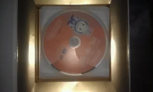 兒童科學(xué)識(shí)字啟智寶典：漢字宮（12DVD） 曬單實(shí)拍圖