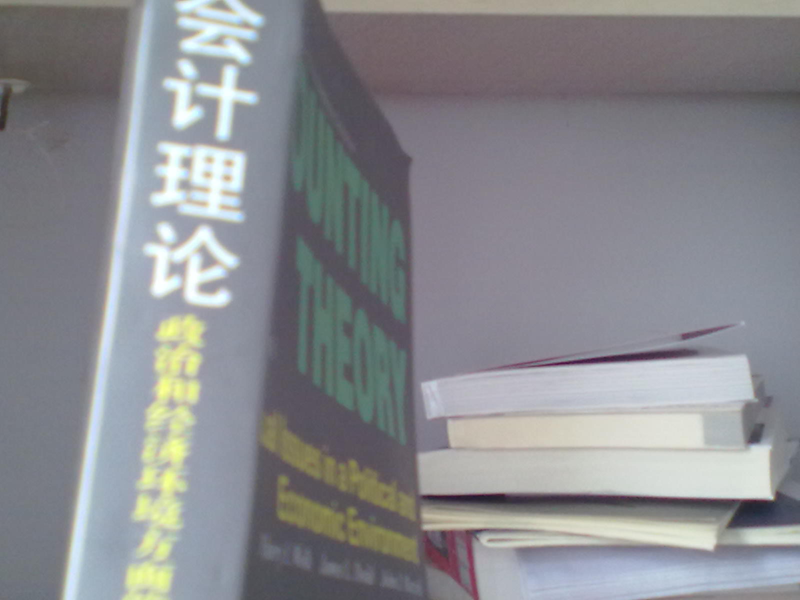 會計理論：政治和經(jīng)濟環(huán)境方面的概念性議題（第7版） 曬單實拍圖