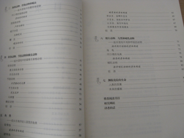 富饒的鹽水濕地 曬單實(shí)拍圖