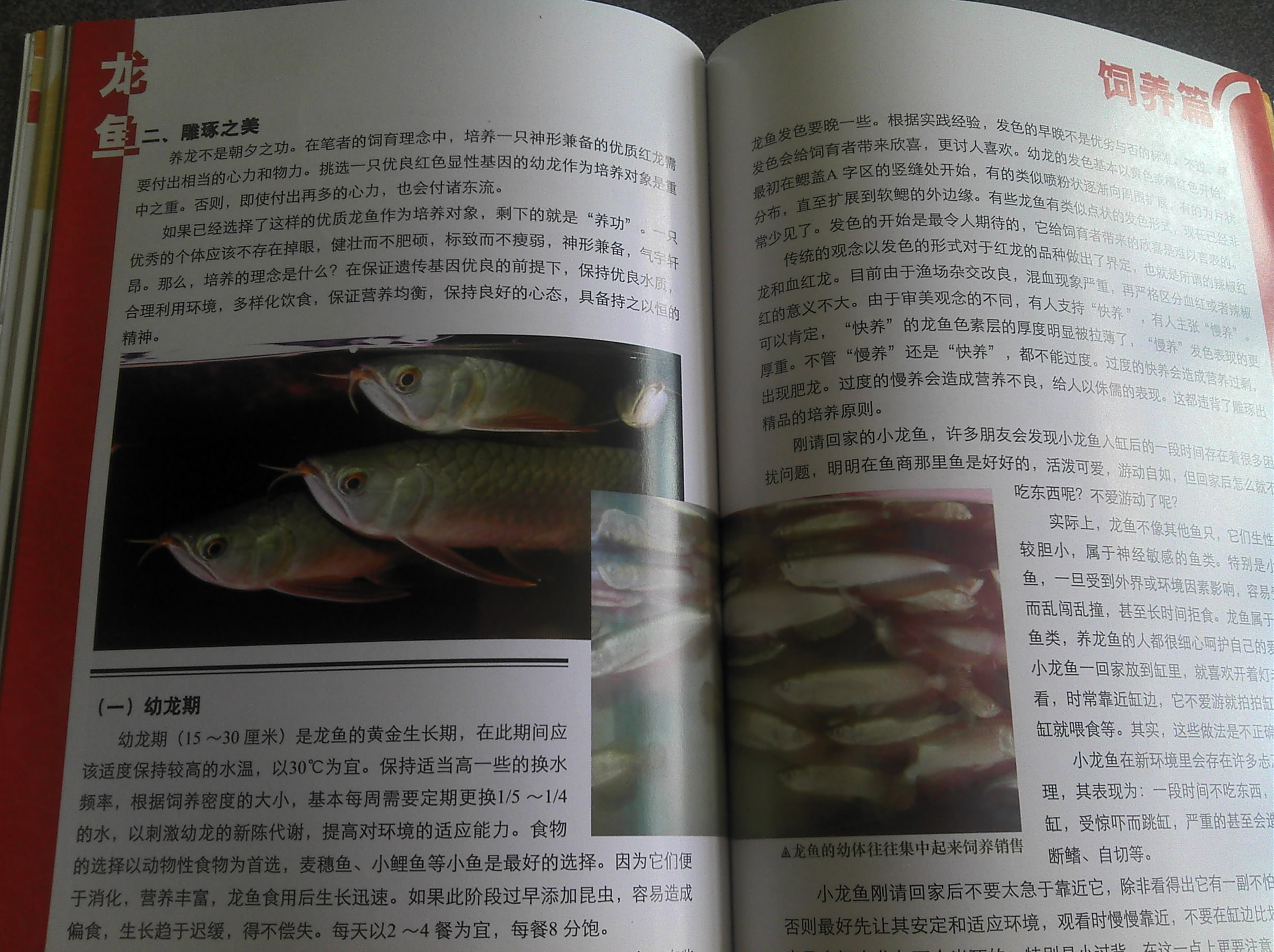 全新七彩神仙魚(yú)飼養(yǎng)手冊(cè) 曬單實(shí)拍圖