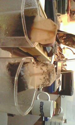 立顿黄牌精选红茶100包--真假红茶大比拼