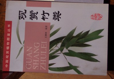 觀賞竹類 曬單實拍圖