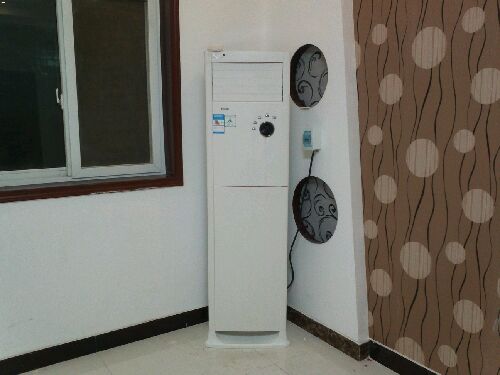 1LW\/DLB10-330(1) 2匹 立柜式家用冷暖空调(白