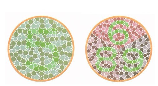 色盲检查图--买给家人看得