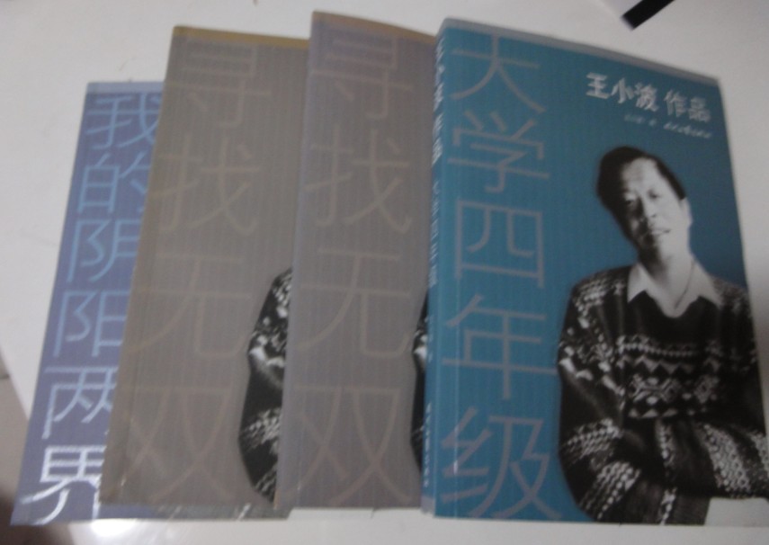 王小波經(jīng)典作品集（套裝共4冊） 曬單實拍圖