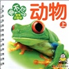 撕不爛版寶寶開(kāi)始學(xué)：兒歌 曬單實(shí)拍圖