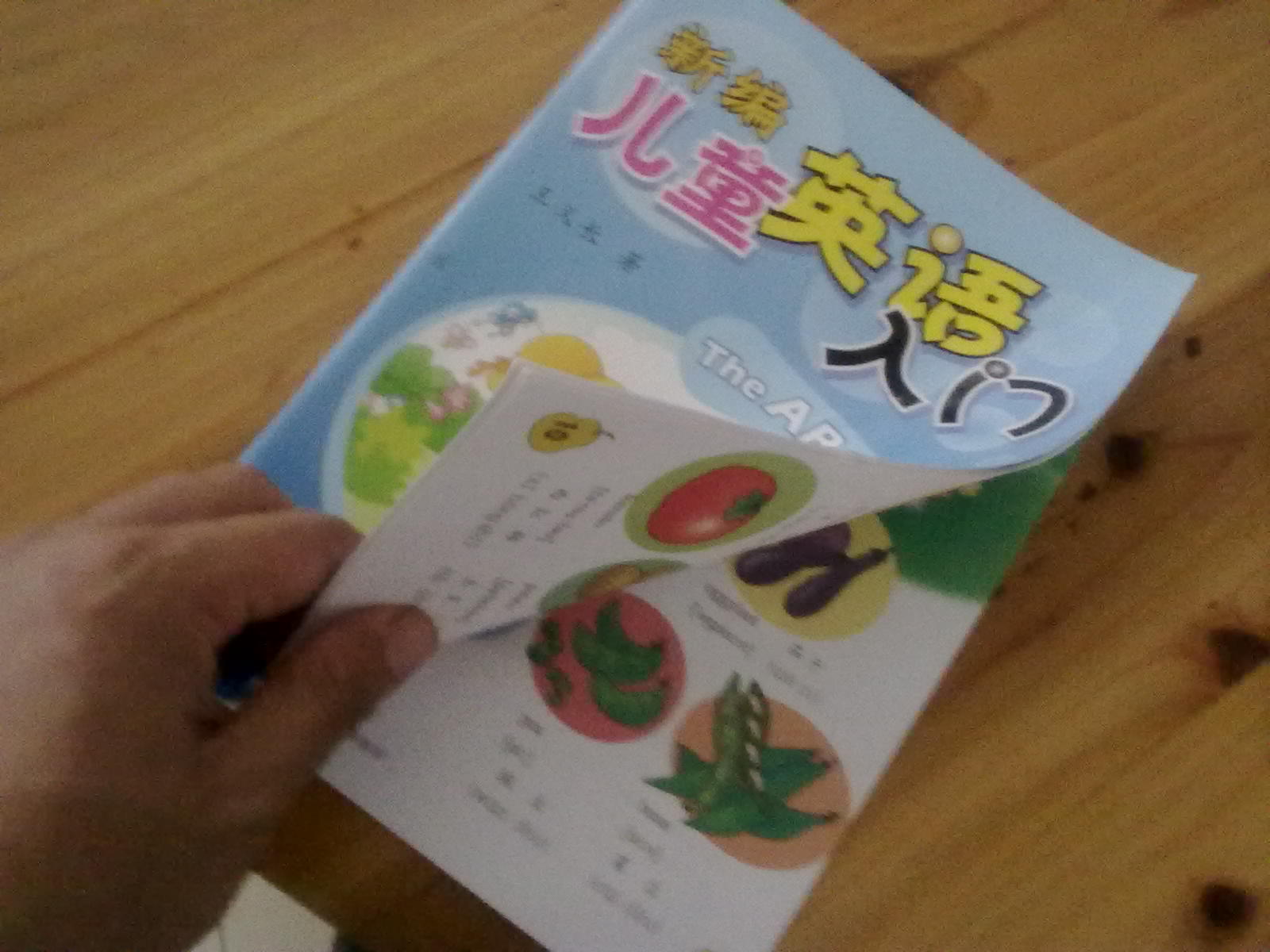 兒童英語(yǔ)啟蒙（2DVD） 曬單實(shí)拍圖