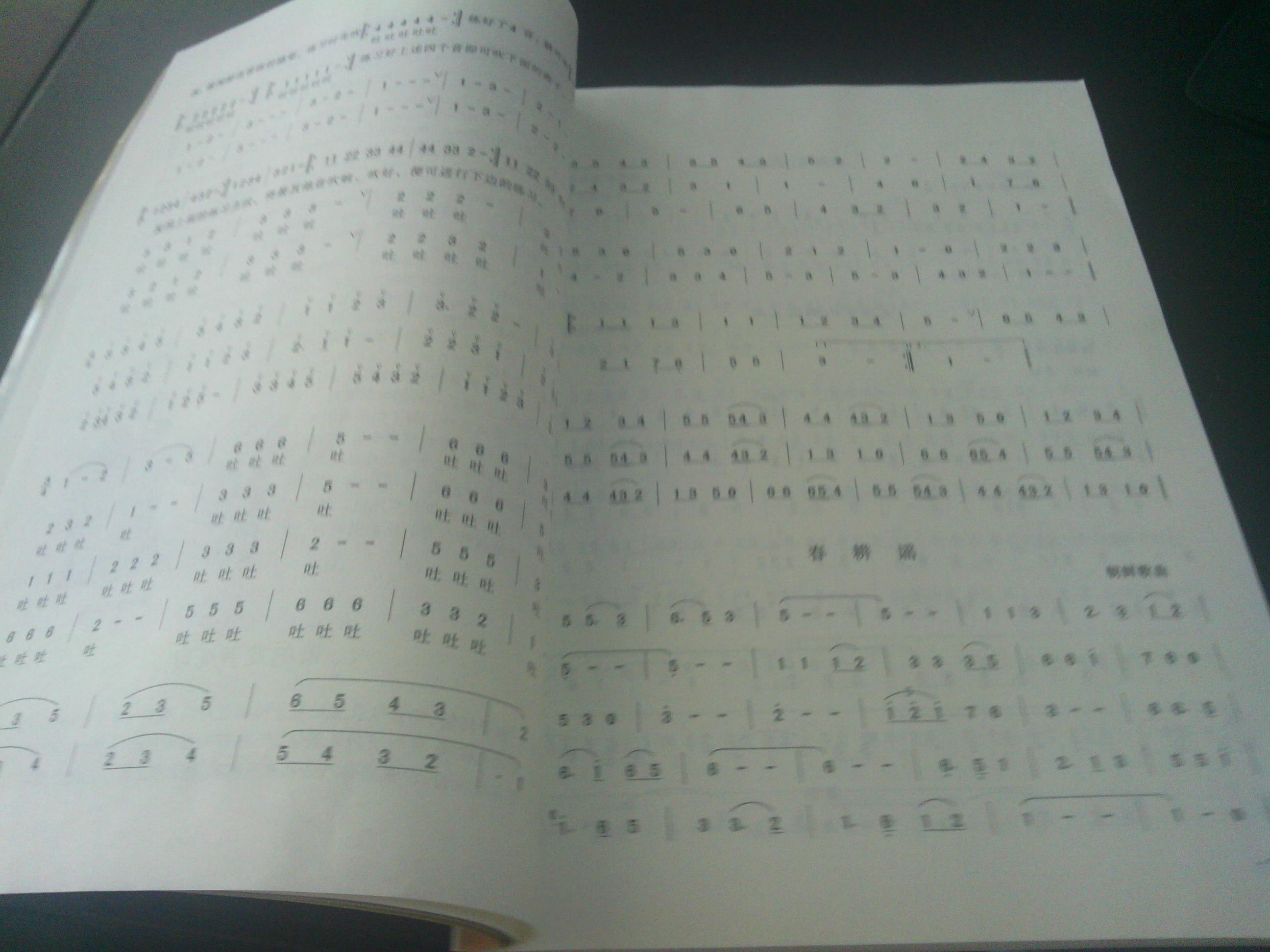 簫、豎笛吹奏入門(mén) 曬單實(shí)拍圖