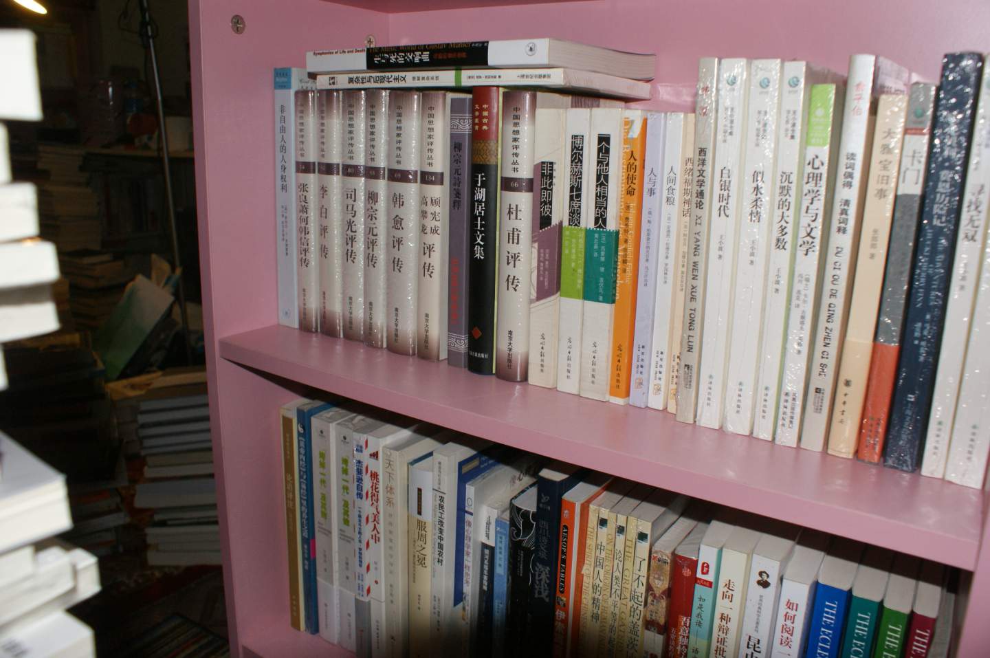 西洋文學(xué)通論 曬單實(shí)拍圖