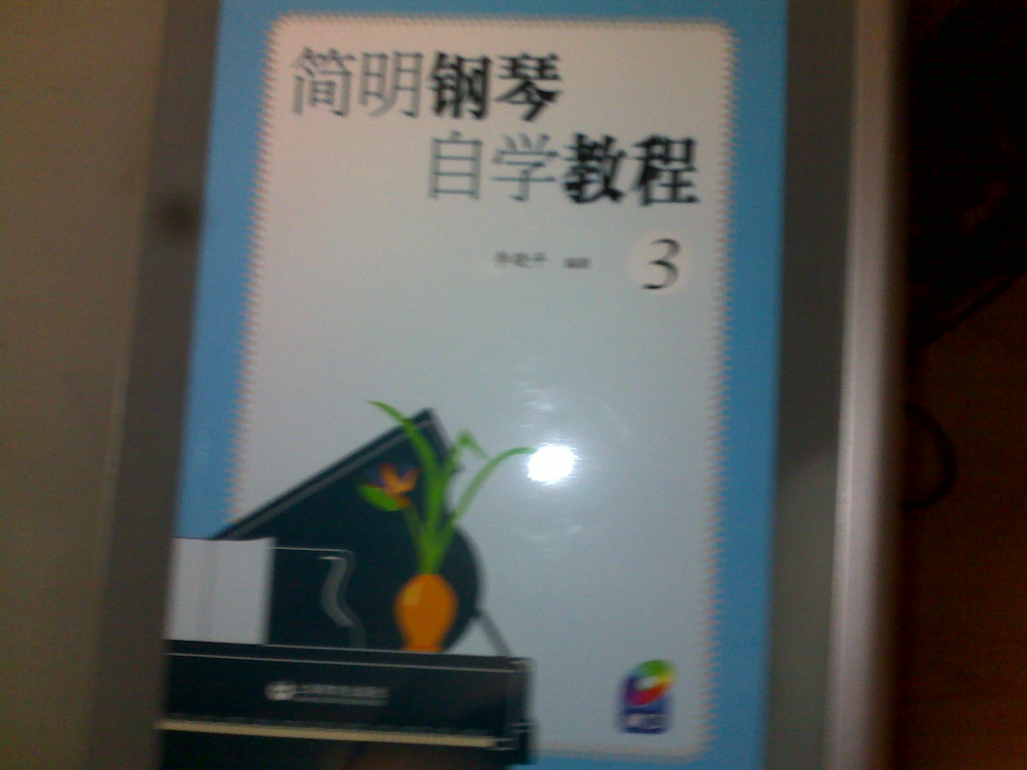 簡(jiǎn)明鋼琴自學(xué)教程（共3冊(cè)）（附DVD光盤(pán)3張） 曬單實(shí)拍圖