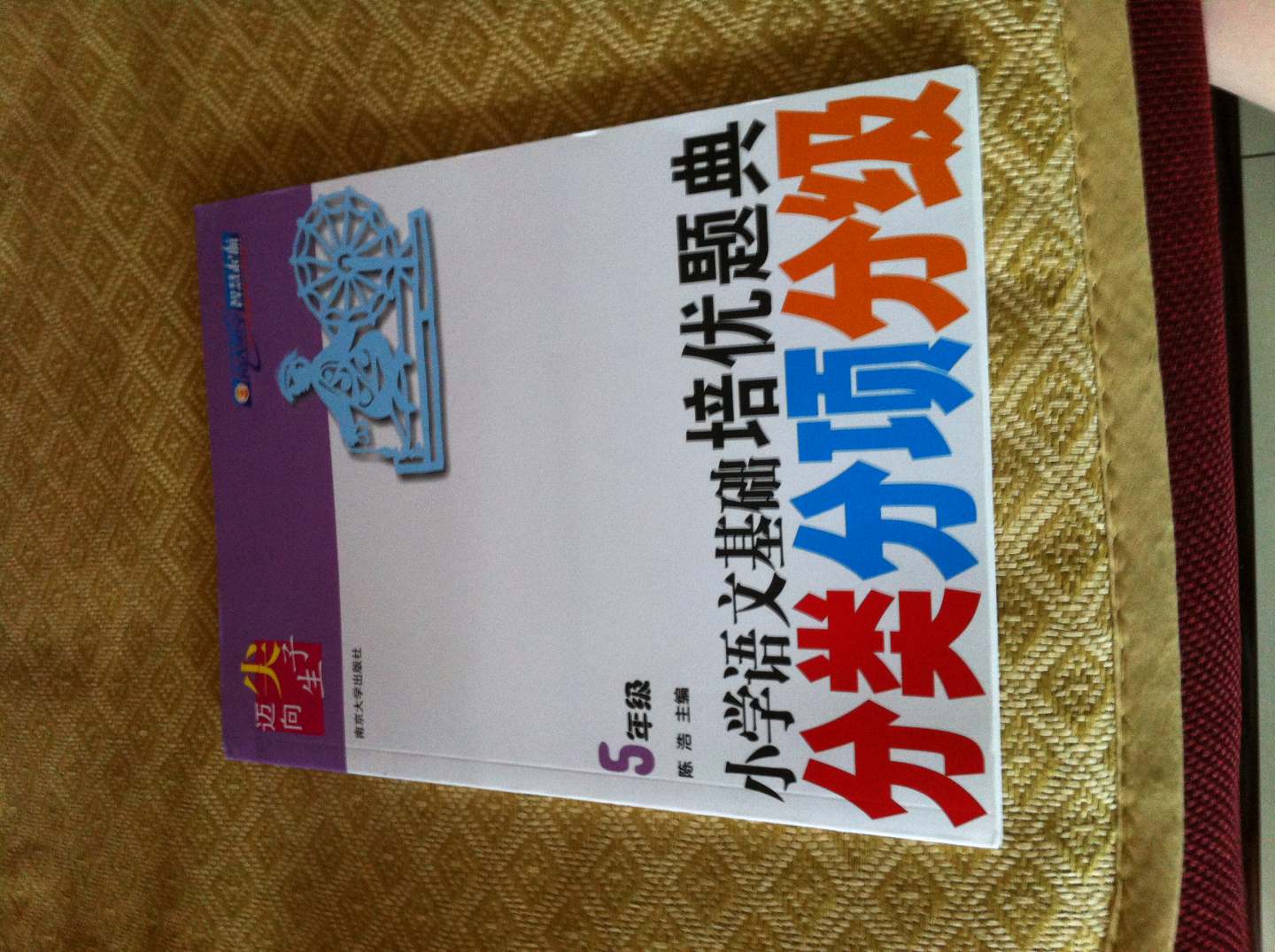 邁向尖子生·小學(xué)語(yǔ)文基礎培優(yōu)題典：分類(lèi)分項分級（5年級） 曬單實(shí)拍圖