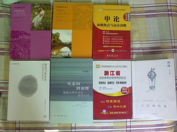 華圖·公務(wù)員錄用考試華圖名家講義系列教材（第7版）：申論命題熱點(diǎn)與高分攻略 曬單實(shí)拍圖