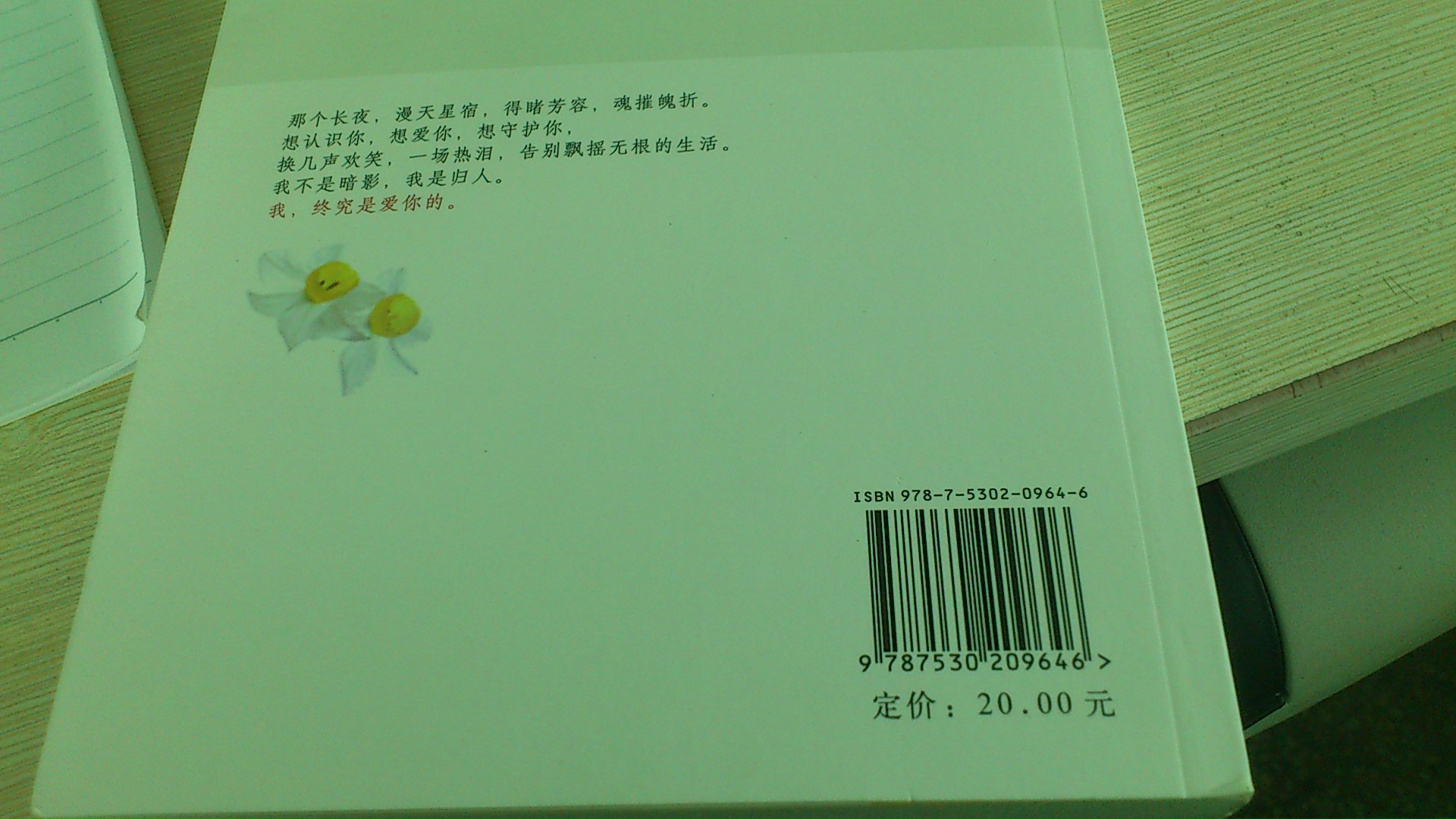 我終究是愛你的 曬單實拍圖