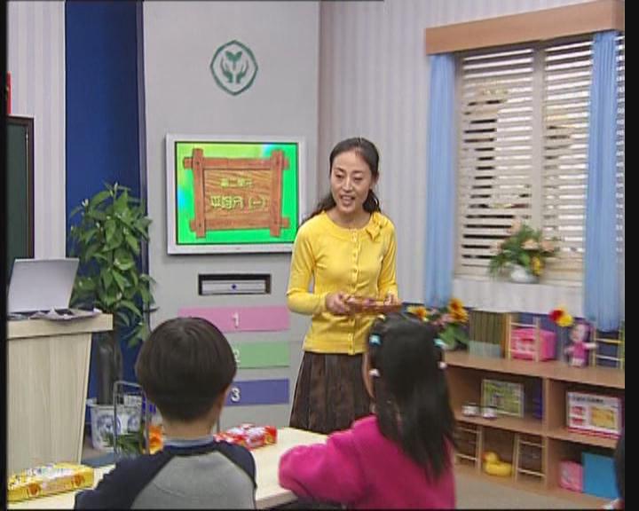 義務(wù)教育課程標準小班示范教學(xué)錄像光盤(pán)：小學(xué)語(yǔ)文二年級下冊（9DVD） 曬單實(shí)拍圖