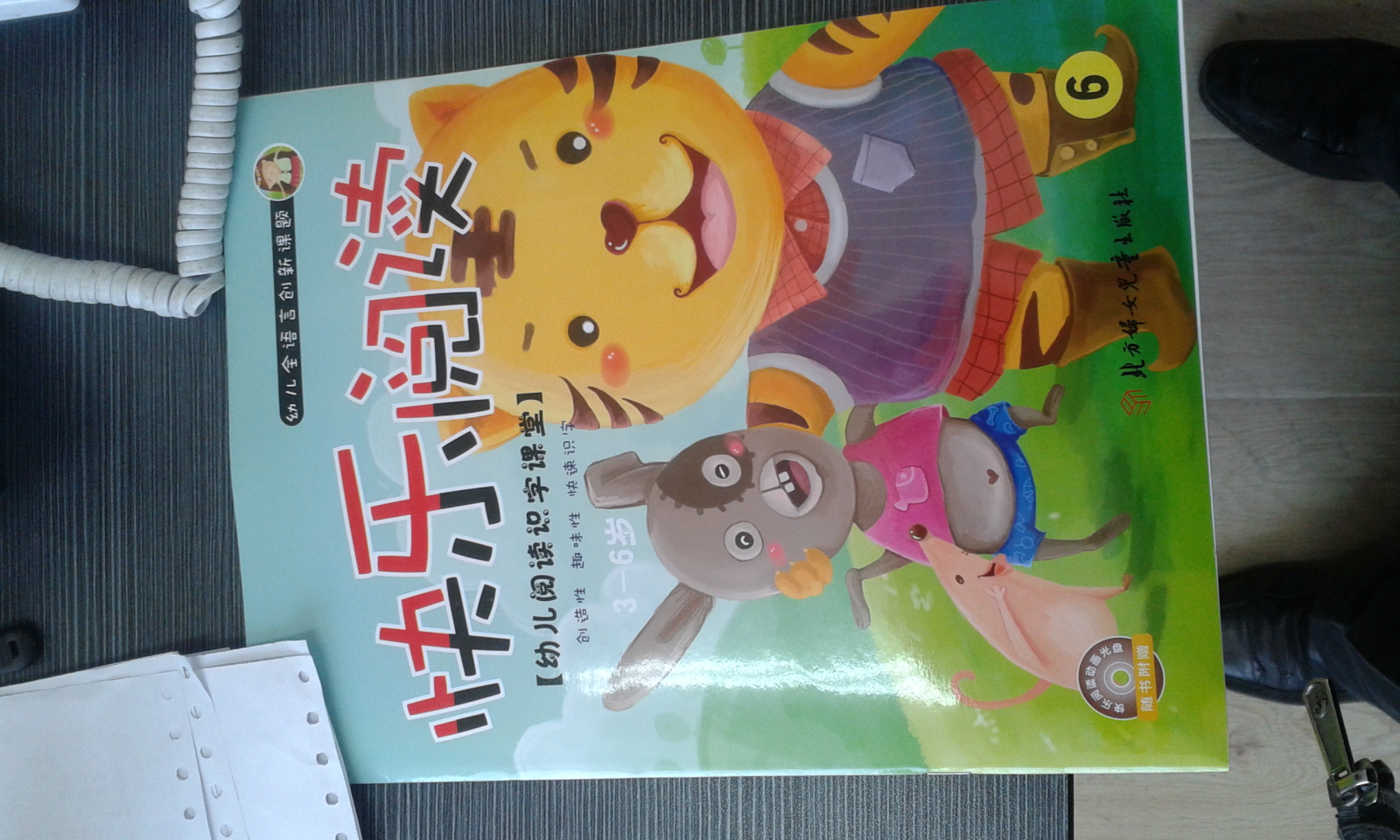 快樂閱讀6：幼兒閱讀識字課堂（3-6歲）（附光盤1張） 曬單實拍圖
