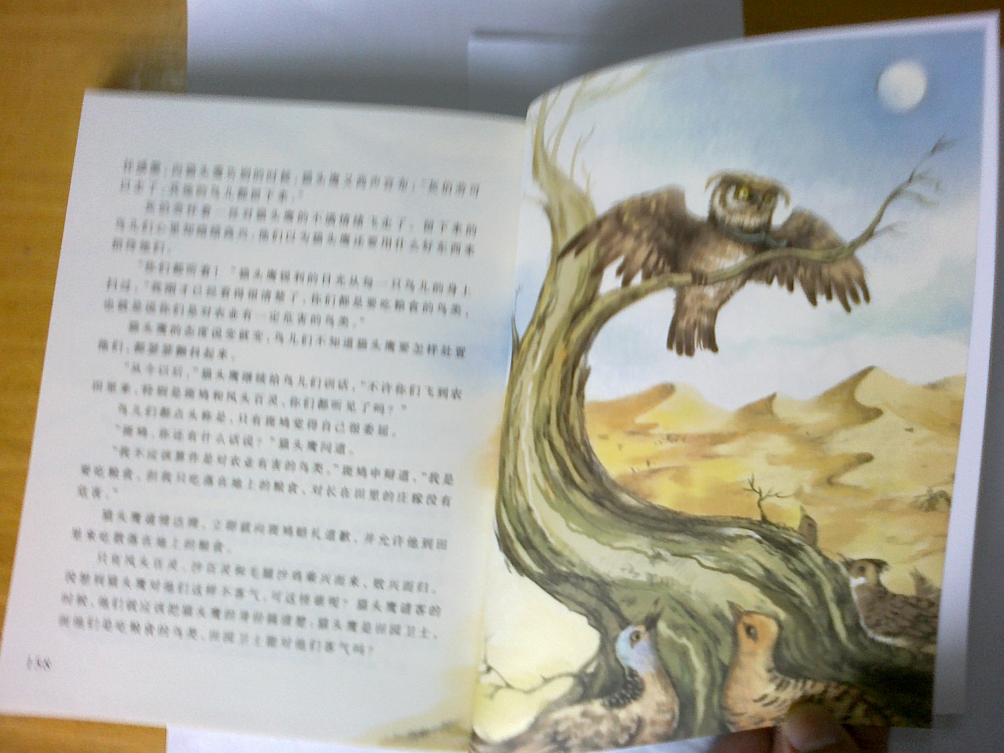 楊紅櫻畫(huà)本·科學(xué)童話(huà)系列：貓頭鷹開(kāi)宴會(huì ) 曬單實(shí)拍圖