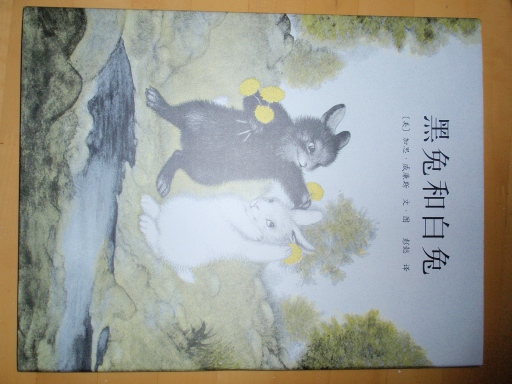 黑兔和白兔 曬單實拍圖