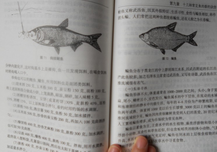 釣魚訣竅 曬單實(shí)拍圖