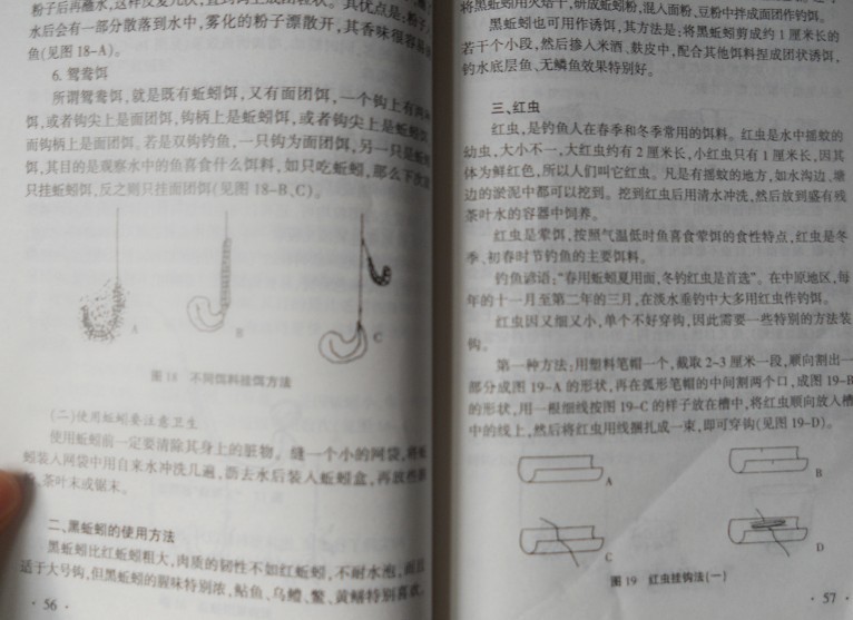 釣魚訣竅 曬單實(shí)拍圖