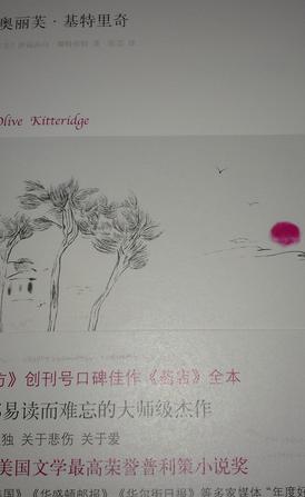 奧麗芙·基特里奇 曬單實(shí)拍圖