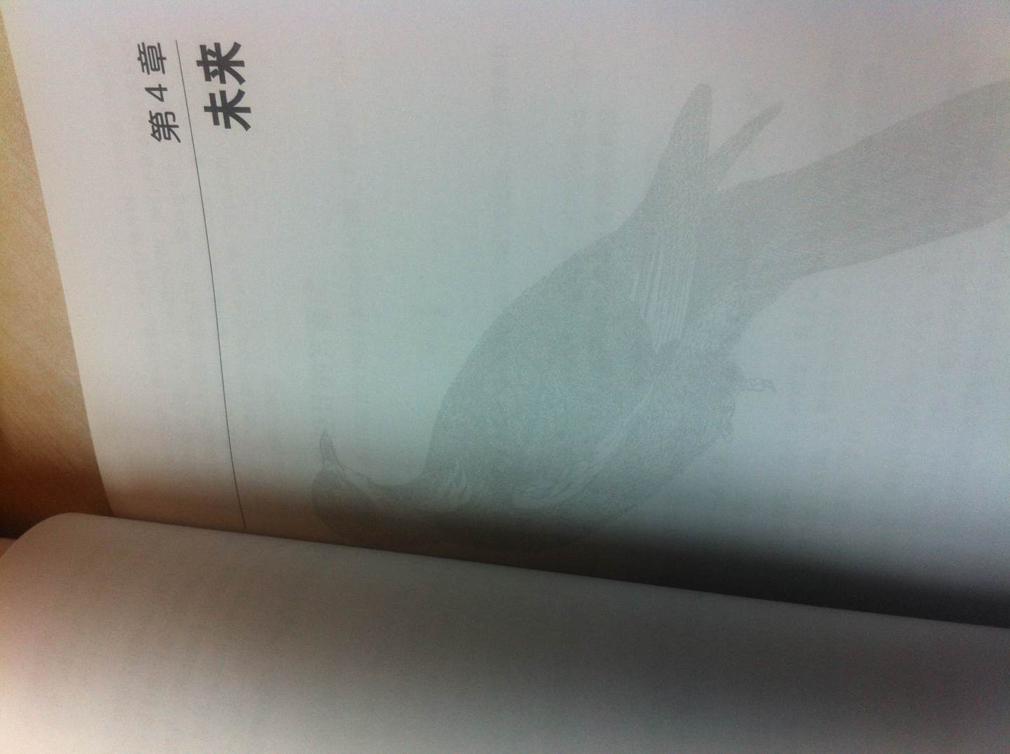 簡(jiǎn)約之美：軟件設計之道(圖靈出品） 曬單實(shí)拍圖