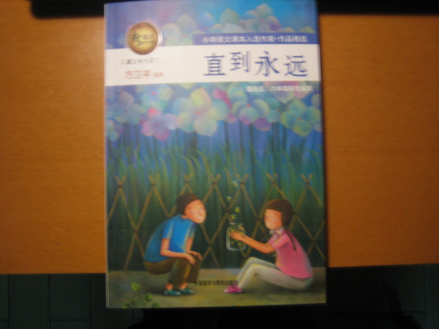 新語(yǔ)文課外書(shū)屋·兒童文學(xué)名家讀本：直到永遠 曬單實(shí)拍圖