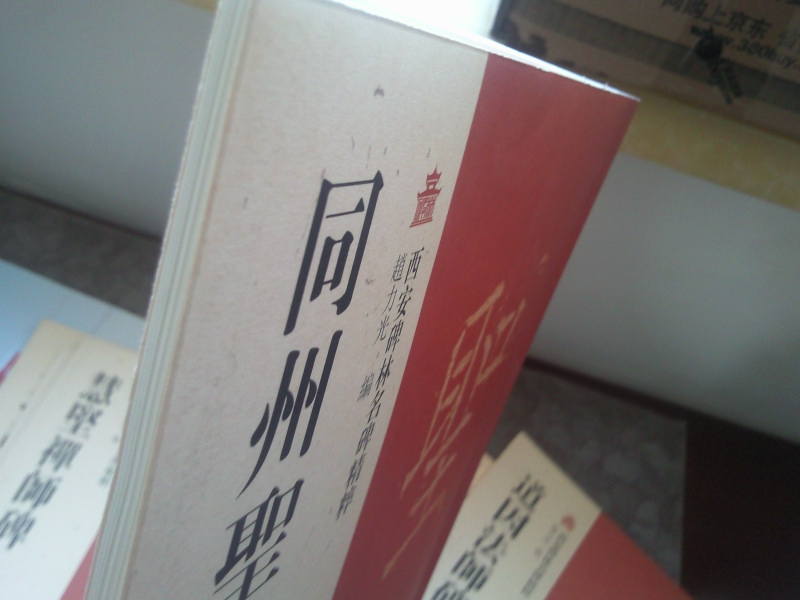 西安碑林名碑精粹：同州圣教序碑 曬單實(shí)拍圖