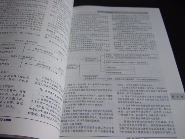 2013年注冊稅務(wù)師考試應試指導及全真模擬測試·輕松過(guò)關(guān)1：財務(wù)與會(huì )計 曬單實(shí)拍圖