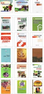 大棚葡萄 曬單實拍圖