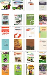 大棚葡萄 曬單實拍圖
