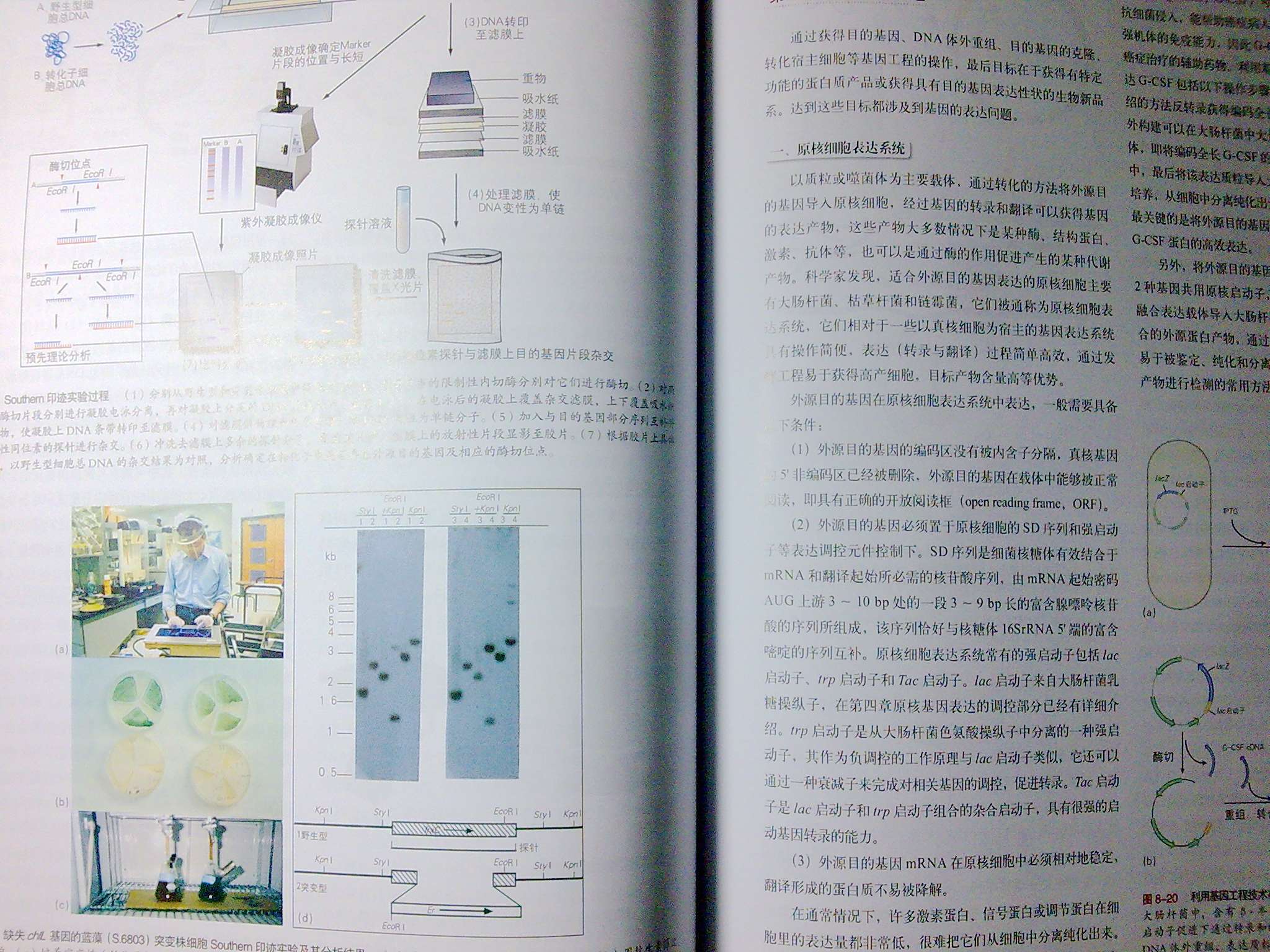 生命科學(xué)與工程 曬單實(shí)拍圖